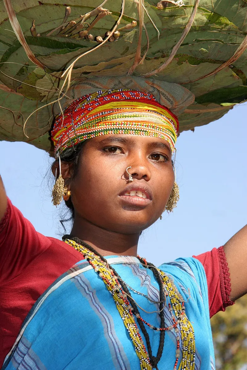 Every Day Is the Occasion: How American Women Are Wearing Ethnic Blouses on Their Own Terms