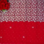 Kranchi Silk With Silver Thread Work-MB119 - Image 2