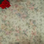 Payal Silk Georgette With Small Border-MB733(Colour Based On Border) - Image 2