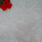 Pure Punam Georgette Sarees-MB801 - Image 3