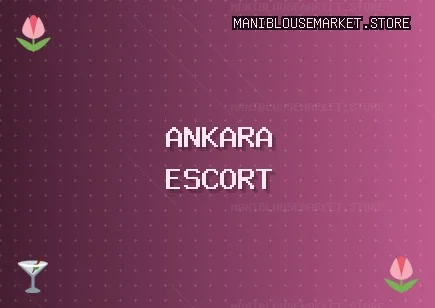 Ankara Escort: Yenimahalle Escort, Altındağ Escort, Beypazarı Escort